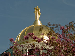 Architectural Gold Leaf