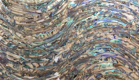 Abalone Wave Pattern