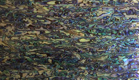 Abalone Blue Shell Veneer