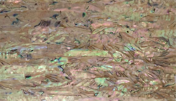 Japanese Abalone Light Veneer